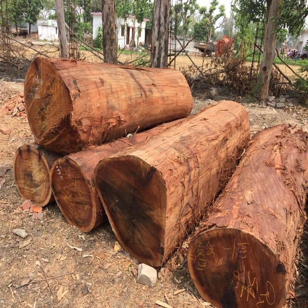 Sal Wood Timber